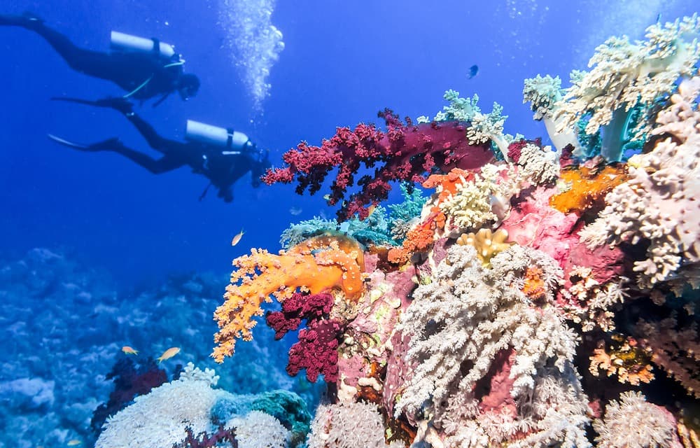 La Barriera Corallina del Belize