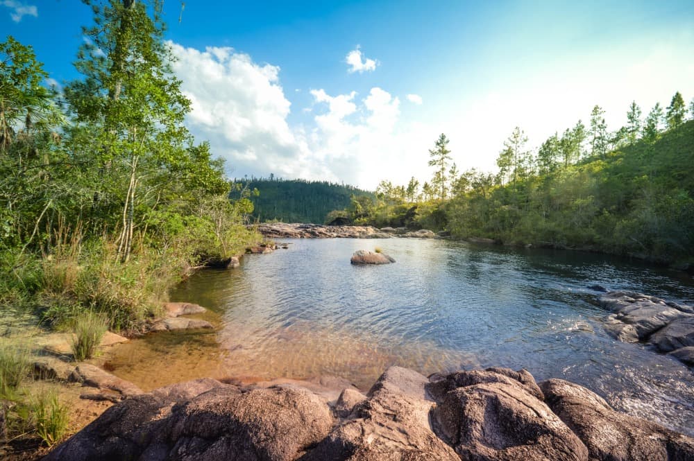 La Riserva Forestale di Mountain Pine Ridge